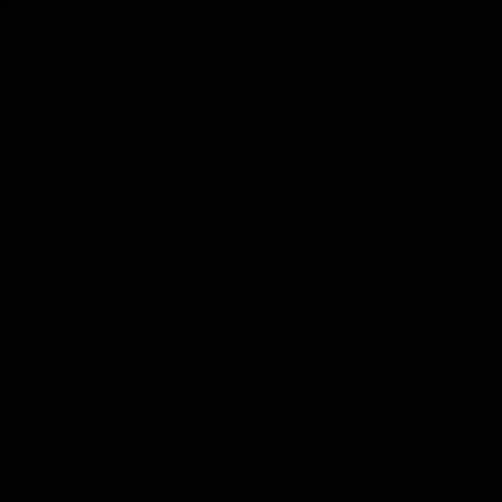 Mat Siyah Evosoft