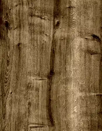 Safir Meşe