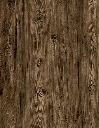Tambur